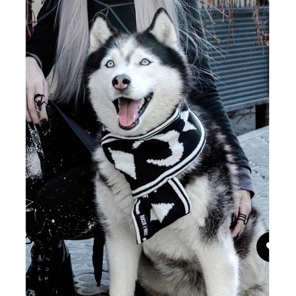 Rogue + Wolf ✦ “Moon Pupper” Knit Pet Scarf ✦ Black Vegan Yarn Celestial Print - Picture 7 of 16